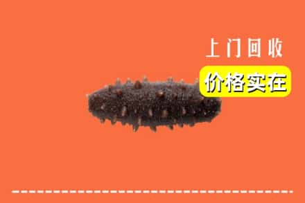 张家口崇礼区回收海参