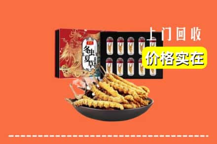 张家口崇礼区回收虫草
